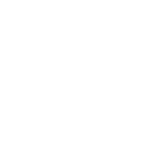 logoBRANCO_SS logoBRANCO_SS